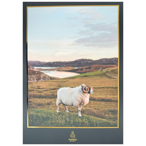 A3 'Ram' Print